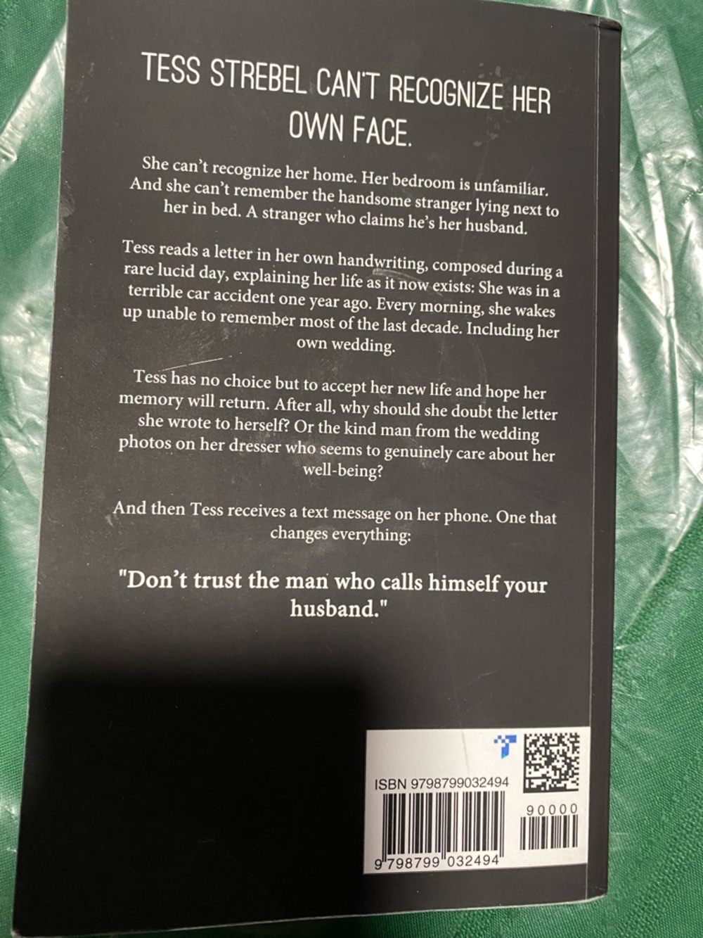 Do You Remember? by Freida McFadden - Black Cover with Red Rose - Picture 2 of 2